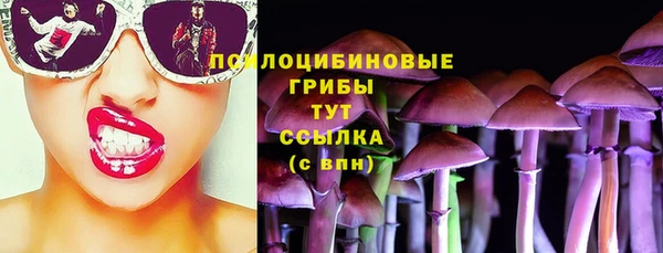 гашик Вяземский