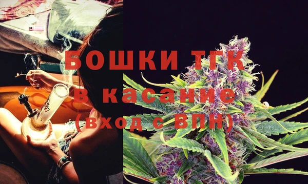гашик Вяземский