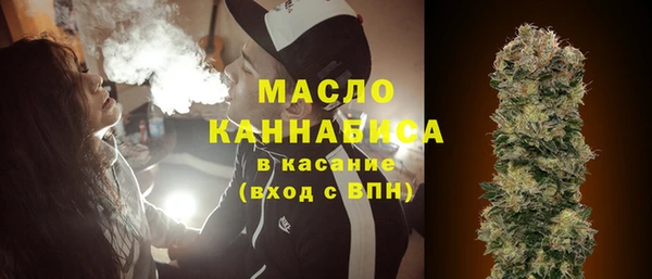 гашик Вяземский