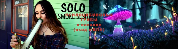PSILOCYBIN Вязьма