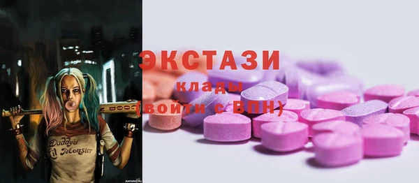 гашик Вяземский