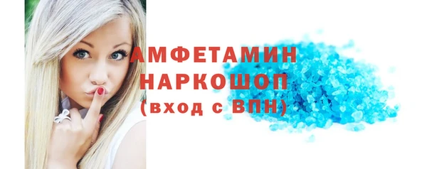 гашик Вяземский