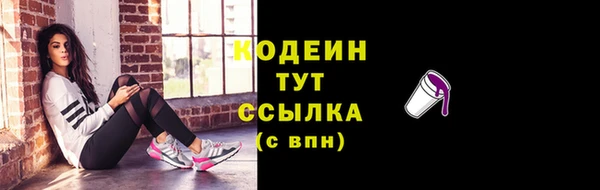 гашик Вяземский