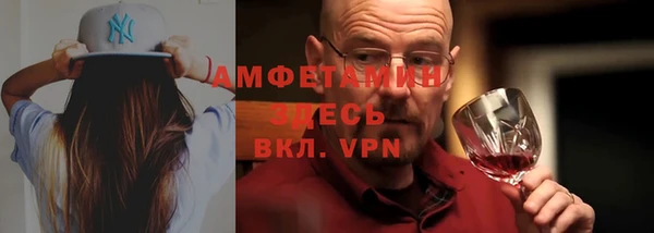 гашик Вяземский