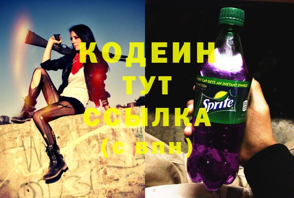 гашик Вяземский