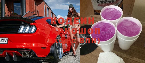 гашик Вяземский