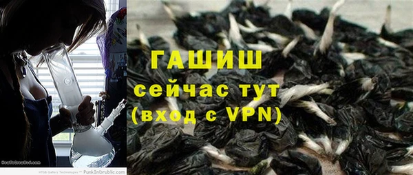 PSILOCYBIN Вязьма