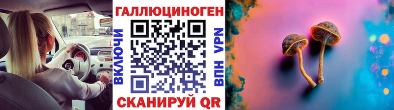 Купить закладки  Соль-Илецк  Псилоцибиновые грибы MAGIC MUSHROOMS 
